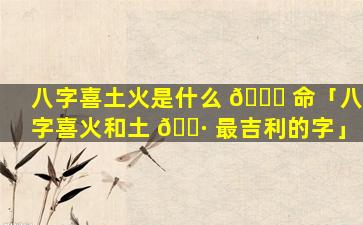 八字喜土火是什么 🐛 命「八字喜火和土 🌷 最吉利的字」